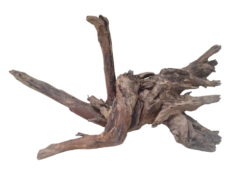 Driftwood for Aquarium tree root 60 Cm long and 35 cm width 