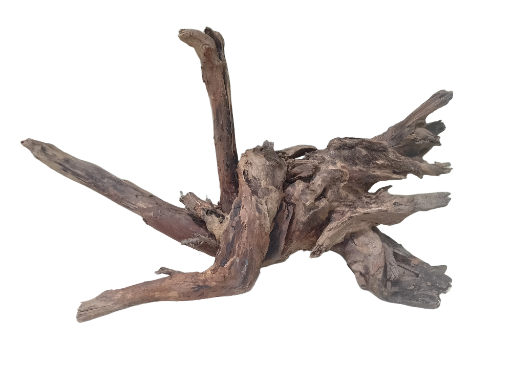 Driftwood for Aquarium tree root 60 Cm long and 35 cm width 