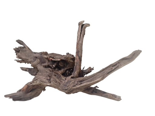 Driftwood for Aquarium tree root 60 Cm long and 35 cm width 