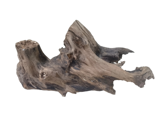 Natural Driftwood Tree Root bulky driftwood with cave inside the wood 60 cm long 