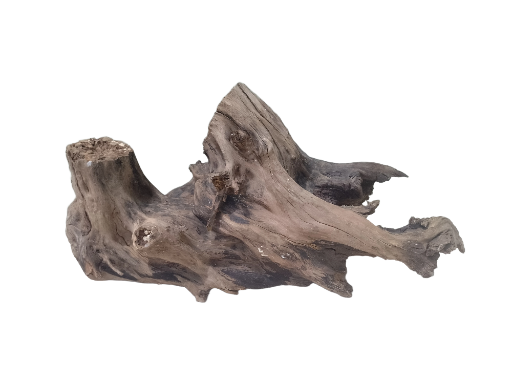 Natural Driftwood Tree Root bulky driftwood with cave inside the wood 60 cm long 