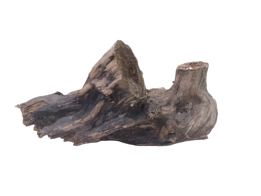 Natural Driftwood Tree Root bulky driftwood with cave inside the wood 60 cm long 
