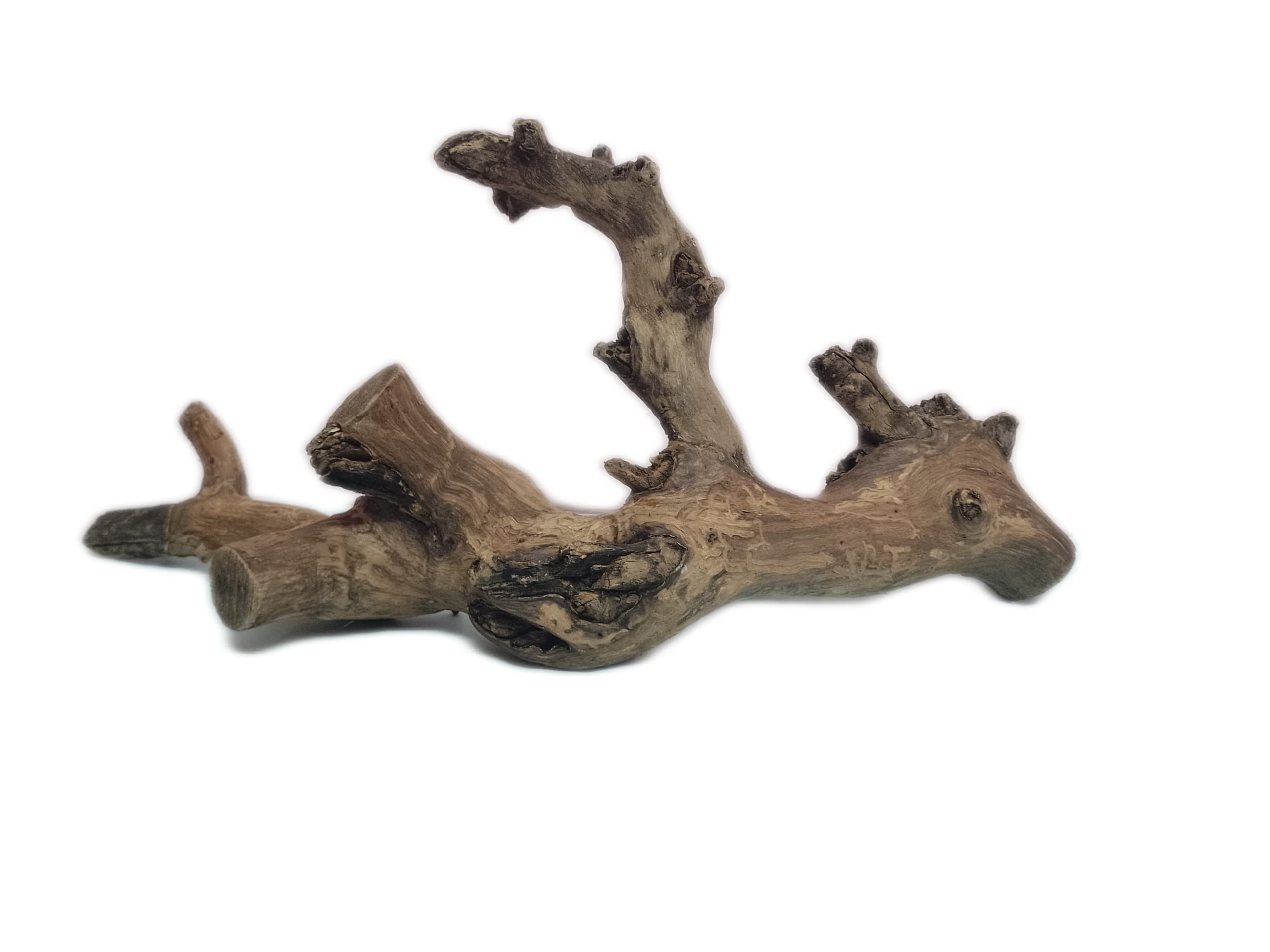 Driftwood for Aquarium Original Teak Wood 60 Cm Long Suitable for Large tank (Random shape)