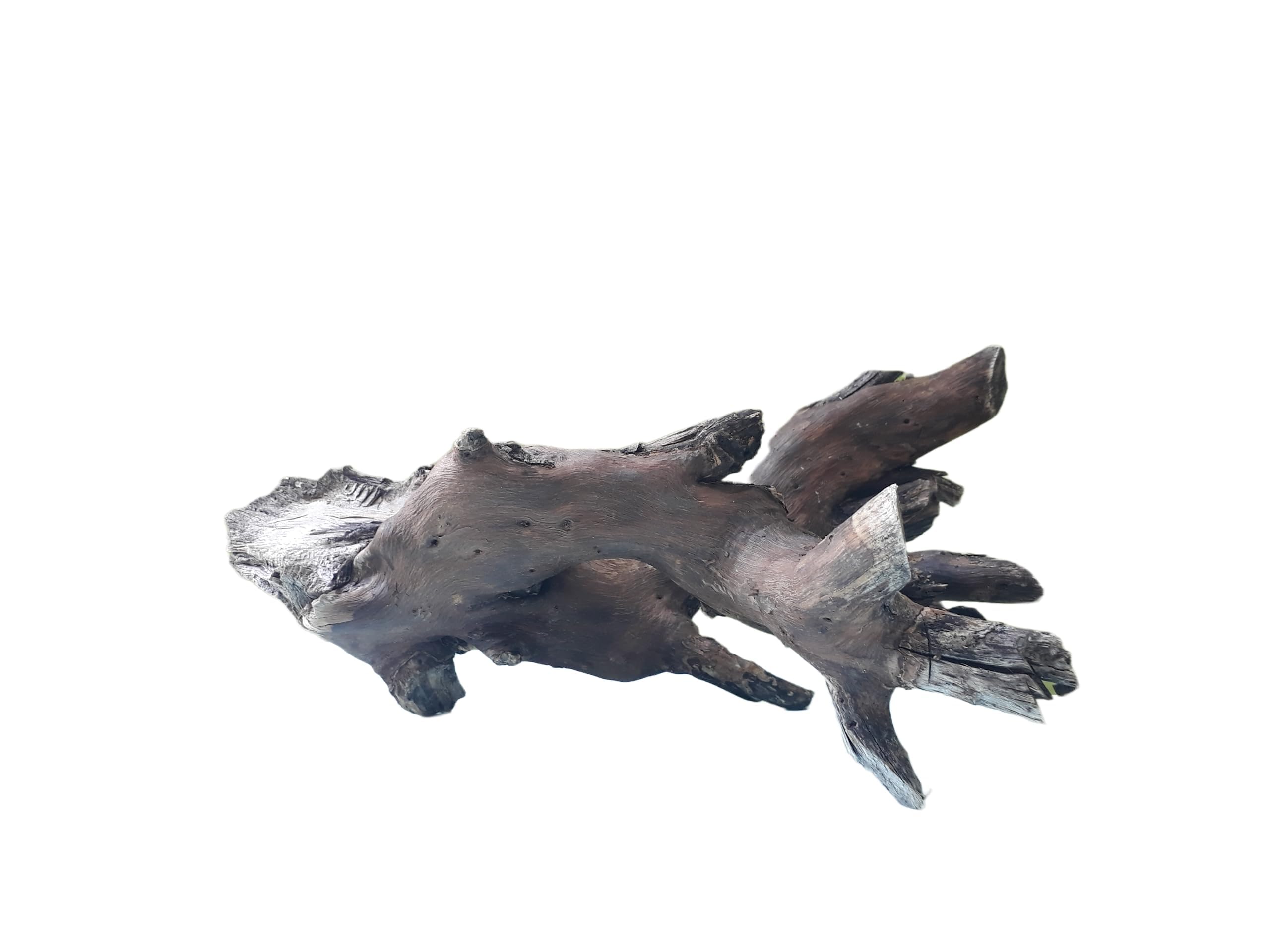 Driftwood For Aquarium Original Teak wood 30 Cm Long Solid wood Suitable for Medium size tank