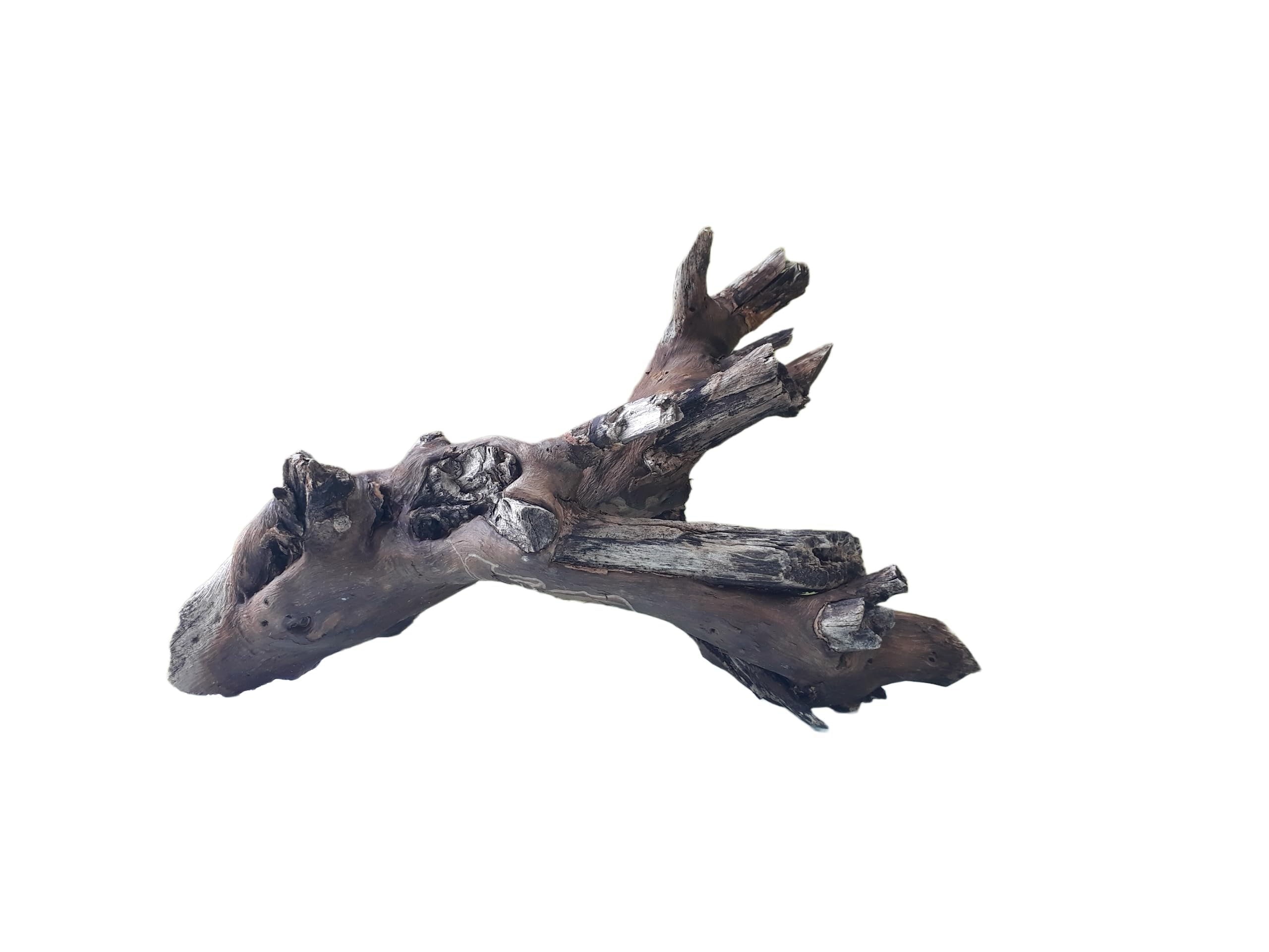 Driftwood For Aquarium Original Teak wood 30 Cm Long Solid wood Suitable for Medium size tank