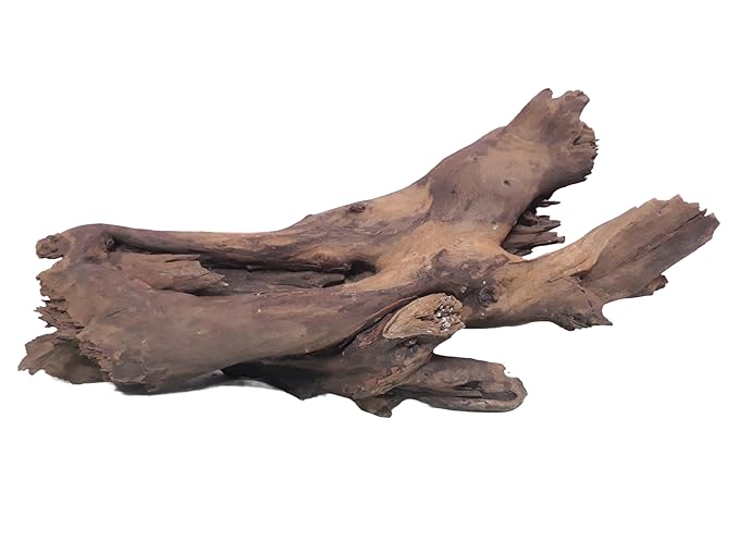 Driftwood for Aquarium Tree Root with Branches Weight 4 Kg and 50 CM Long
