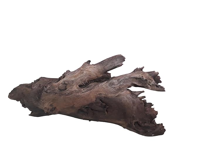 Driftwood for Aquarium Tree Root with Branches Weight 4 Kg and 50 CM Long