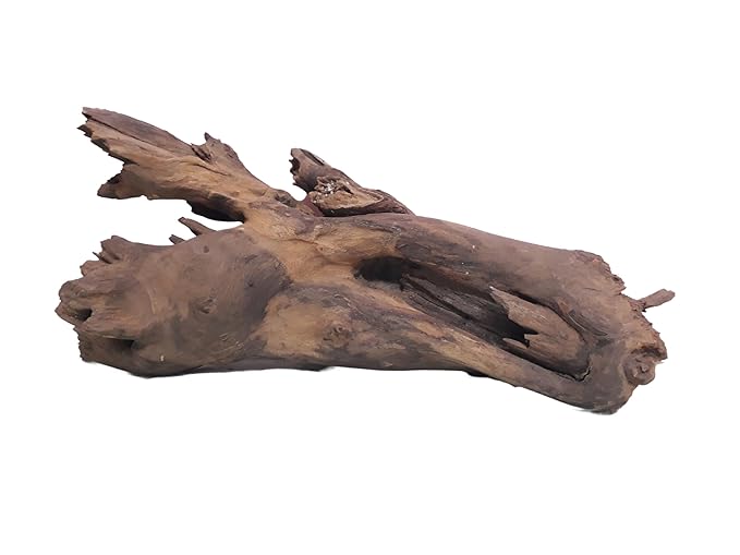 Driftwood for Aquarium Tree Root with Branches Weight 4 Kg and 50 CM Long