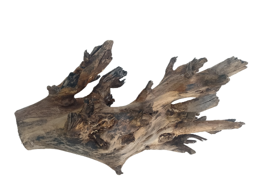 Large branch Teak driftwood Branch 3 feet long and 5 kg weight