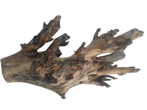 Large branch Teak driftwood Branch 3 feet long and 5 kg weight 