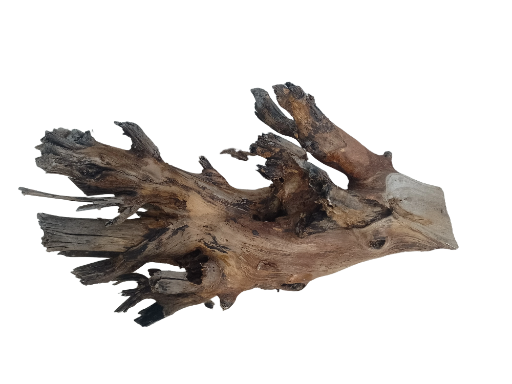 Large branch Teak driftwood Branch 3 feet long and 5 kg weight 
