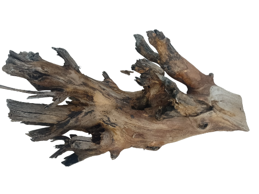 Large branch Teak driftwood Branch 3 feet long and 5 kg weight 