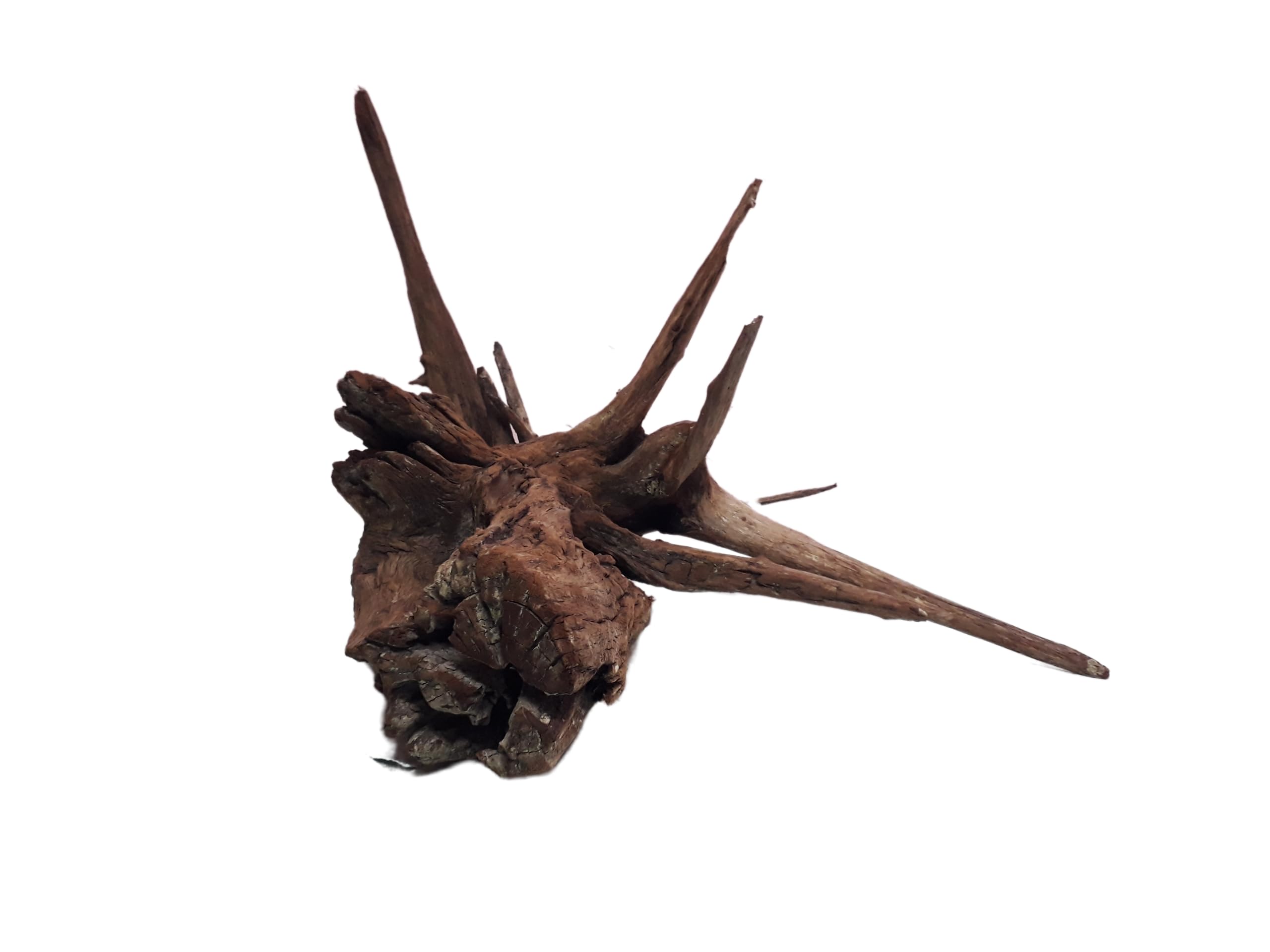Driftwood For Aquarium Spiked Tree Root Driftwood 30 Cm Long