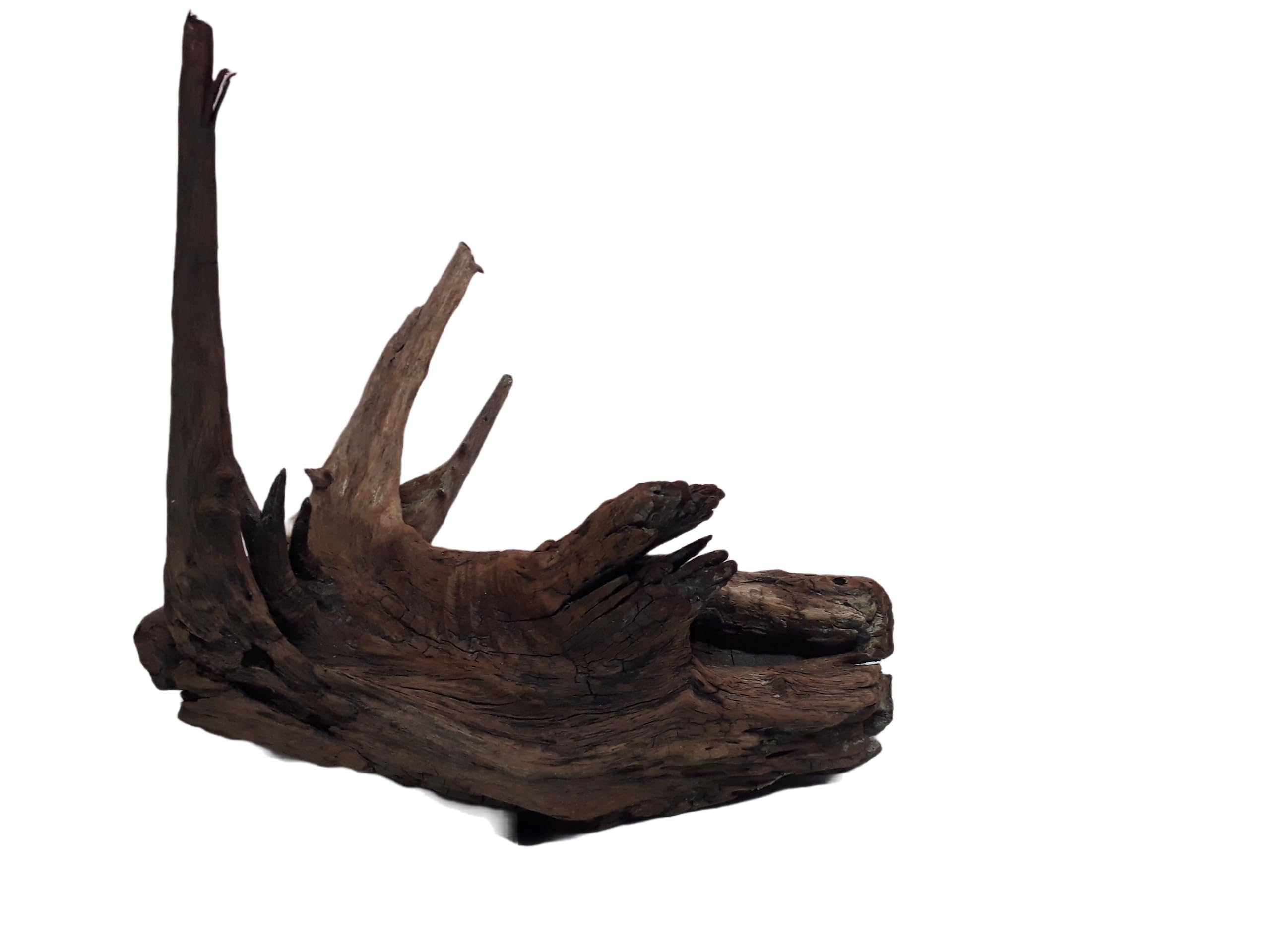 Driftwood For Aquarium Spiked Tree Root Driftwood 30 Cm Long