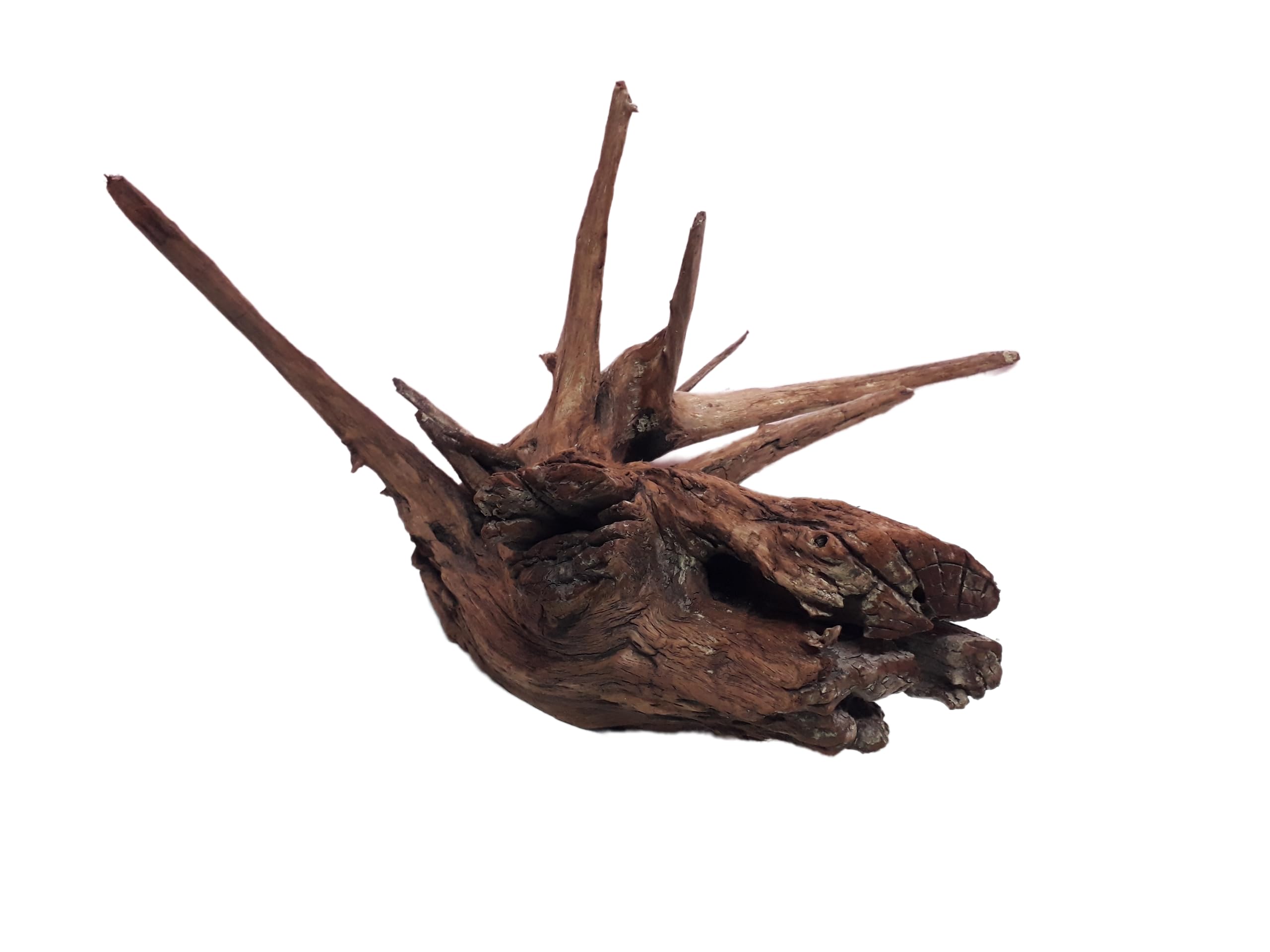 Driftwood For Aquarium Spiked Tree Root Driftwood 30 Cm Long