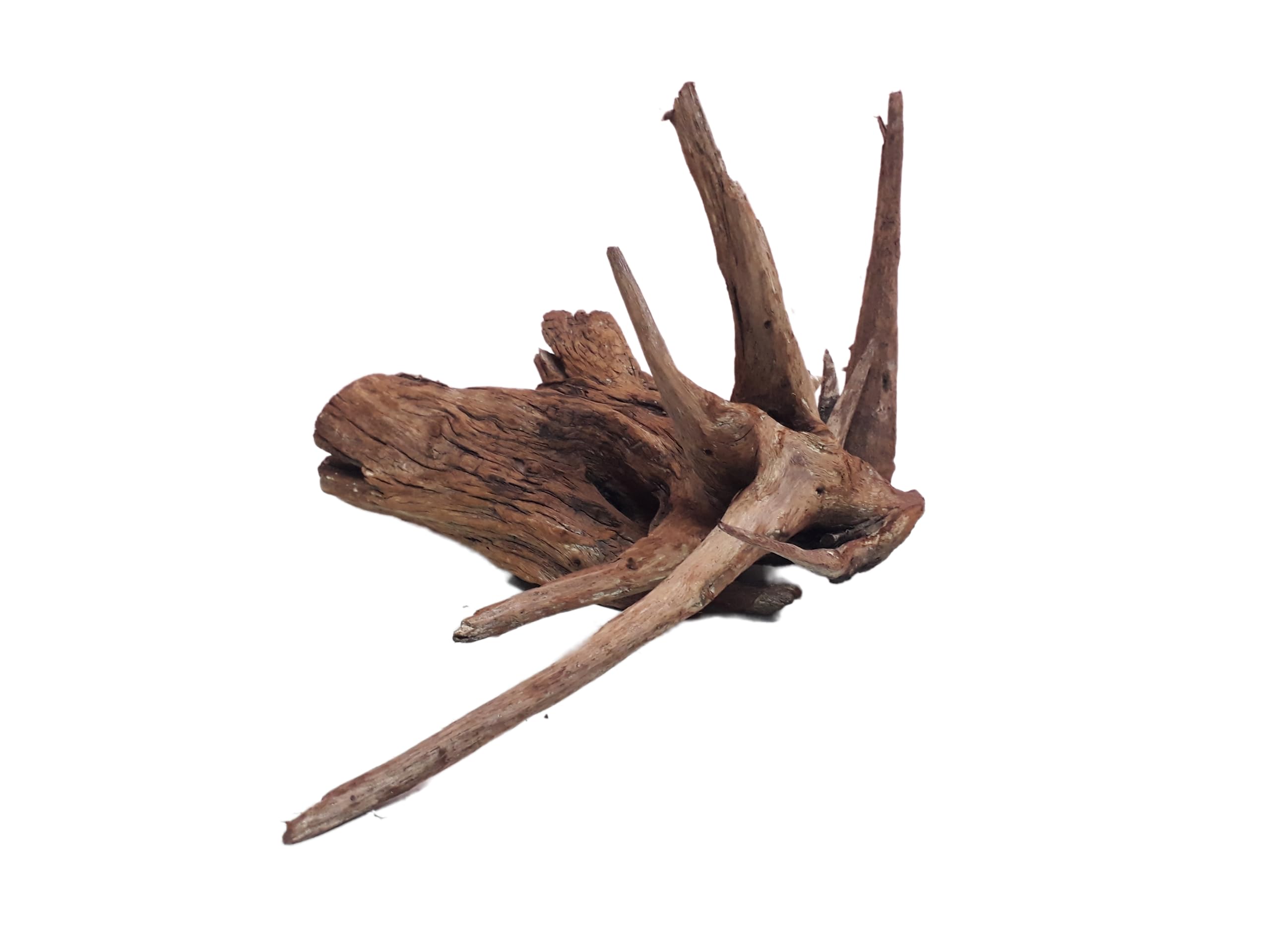 Driftwood For Aquarium Spiked Tree Root Driftwood 30 Cm Long