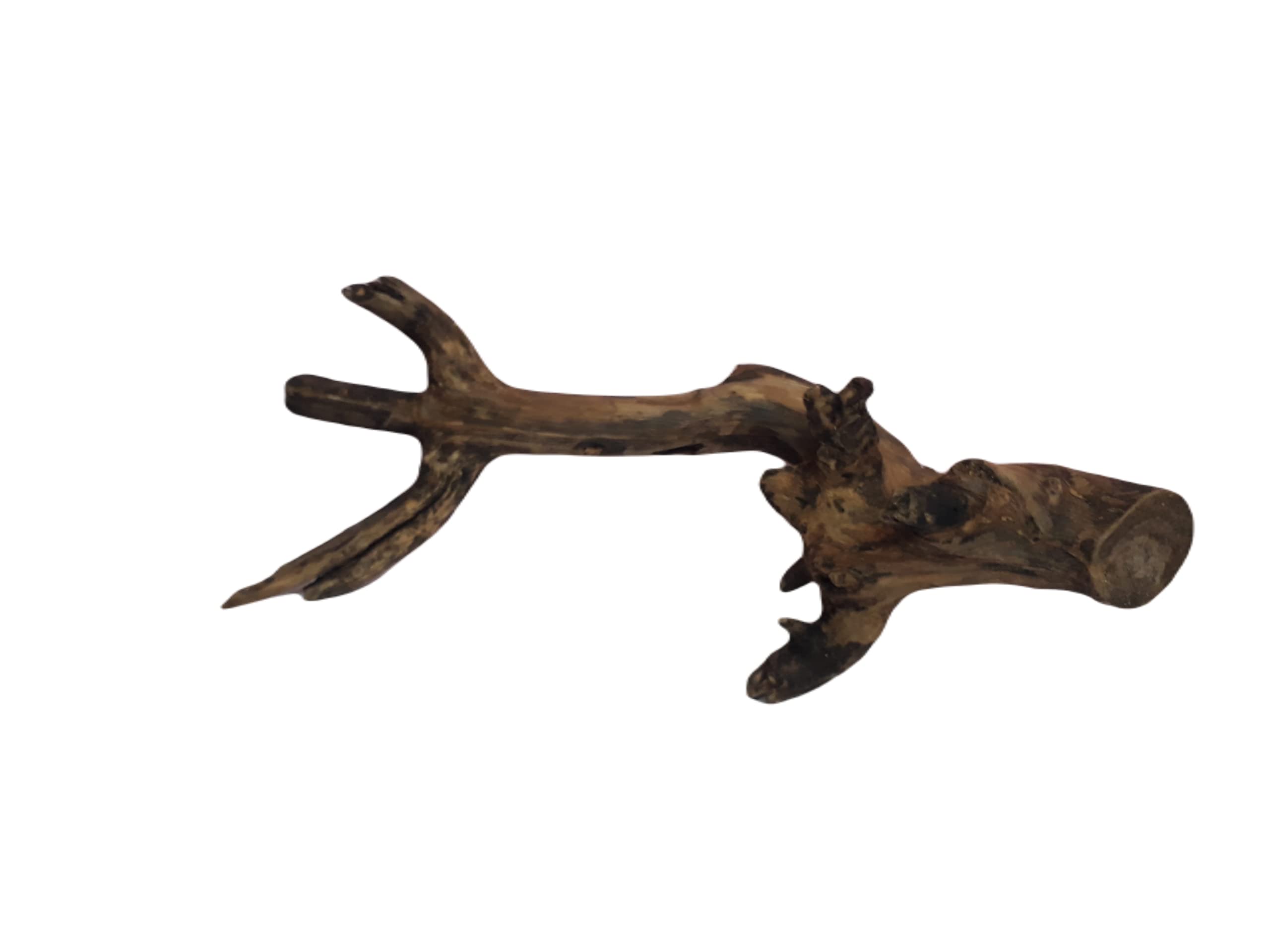 Driftwood for Aquarium Original Teak wood Two Pieces Total weight about 1.9 KG (Similar Piece)