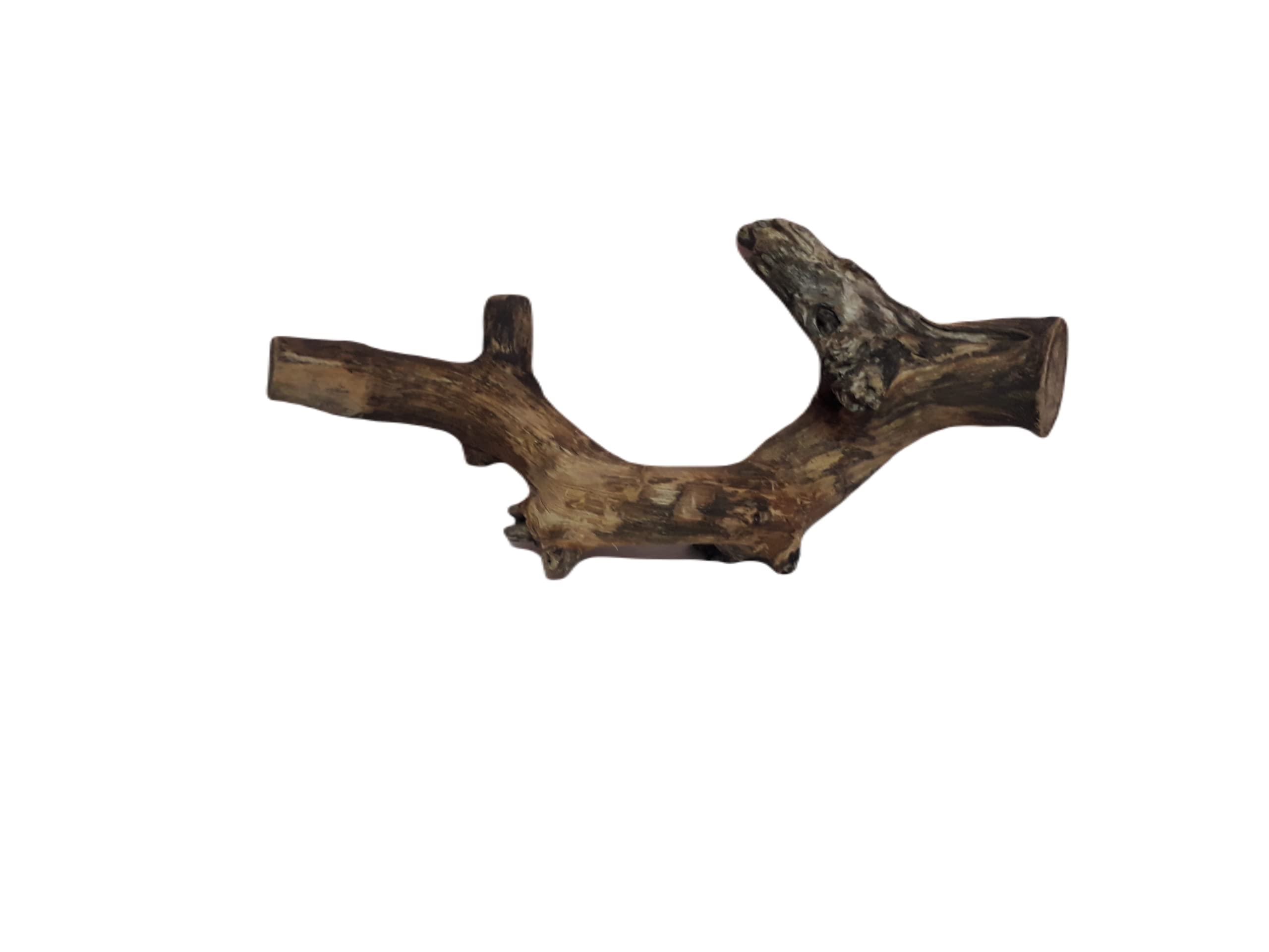 Driftwood for Aquarium Original Teak wood Two Pieces Total weight about 1.9 KG (Similar Piece)