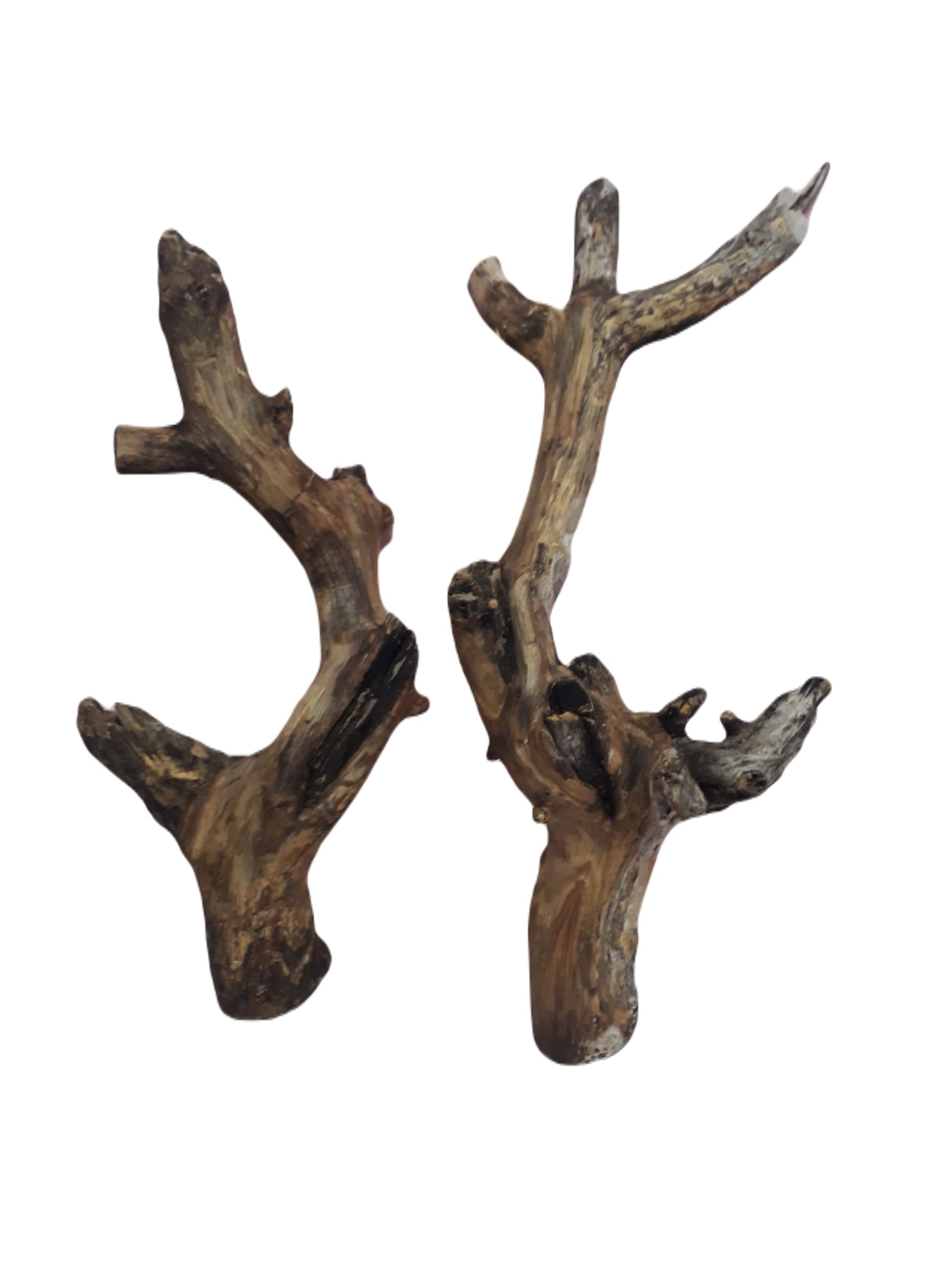 Driftwood for Aquarium Original Teak wood Two Pieces Total weight about 1.9 KG (Similar Piece)