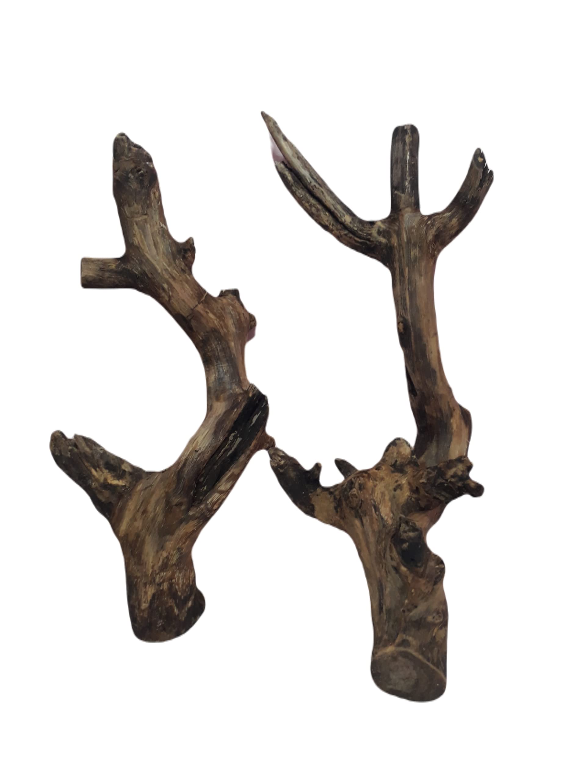 Driftwood for Aquarium Original Teak wood Two Pieces Total weight about 1.9 KG (Similar Piece)