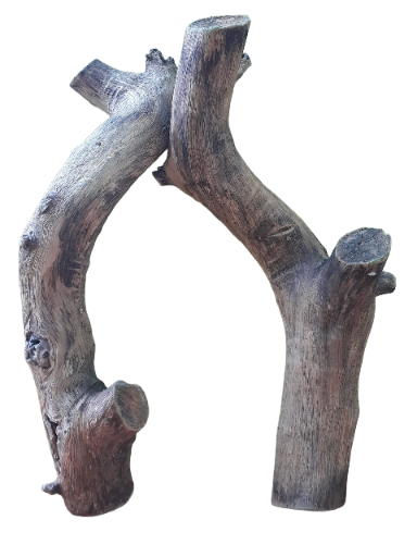 Driftwood for Aquarium Original Teak Solid wood Two Pieces Branch wood (Random Shape)