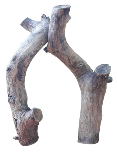 Driftwood for Aquarium Original Teak Solid wood Two Pieces Branch wood (Random Shape)