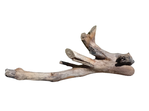 Distinctive Driftwood Piece