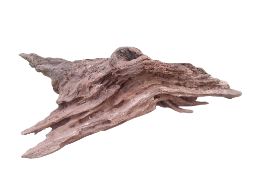Natural Driftwood Decoration 45 Cm long 