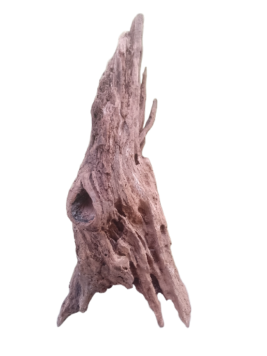 Natural Driftwood Decoration 45 Cm long 