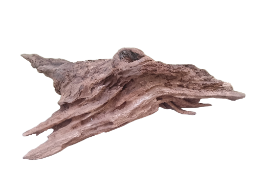 Natural Driftwood Decoration 45 Cm long 