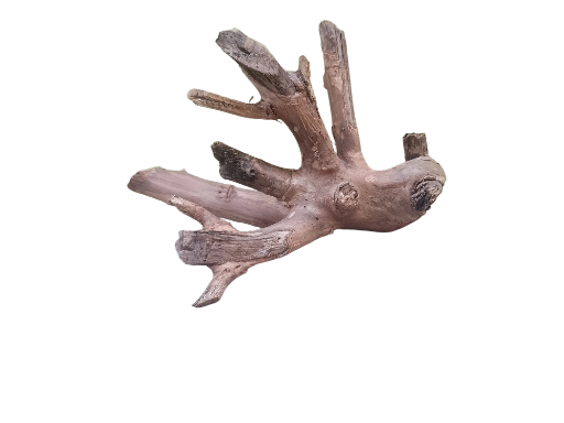 Unique Driftwood Piece 30 Cm Length 