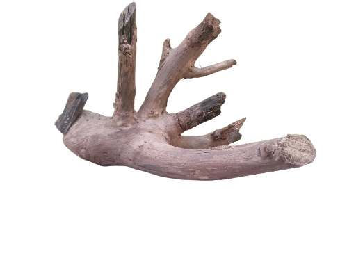 Unique Driftwood Piece 30 Cm Length 