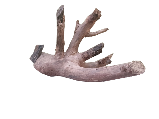 Unique Driftwood Piece 30 Cm Length 