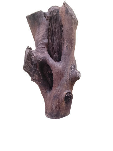 Natural Teak Driftwood rustic aesthetic Piece 