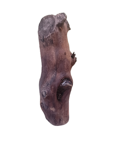 Natural Teak Driftwood rustic aesthetic Piece 
