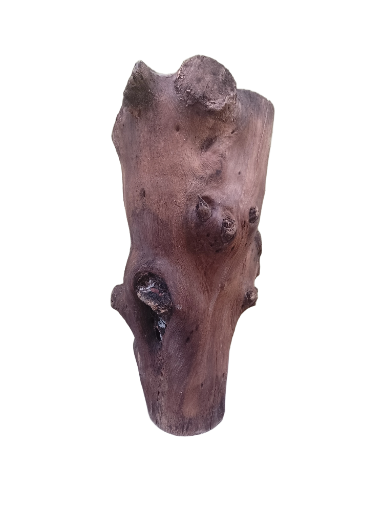 Natural Teak Driftwood rustic aesthetic Piece 