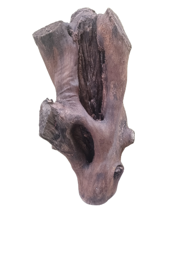 Natural Teak Driftwood rustic aesthetic Piece 