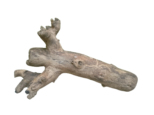 Natural Teak Driftwood Log 50 CM Long 