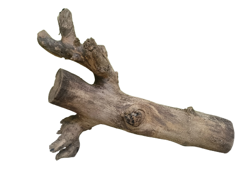 Natural Teak Driftwood Log 50 CM Long 