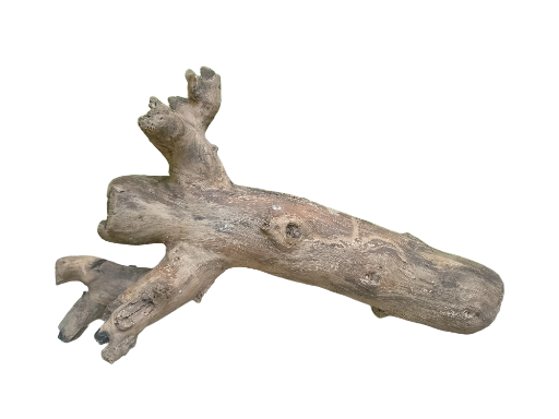 Natural Teak Driftwood Log 50 CM Long 