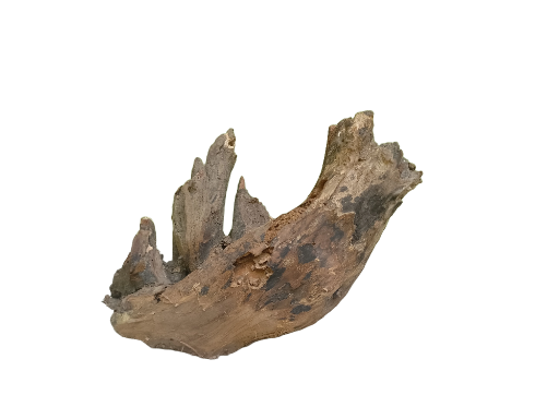 Rustic Driftwood Piece 27 Cm Long country wood