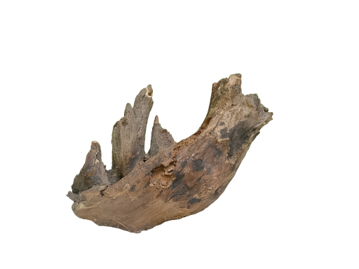 Rustic Driftwood Piece 27 Cm Long country wood