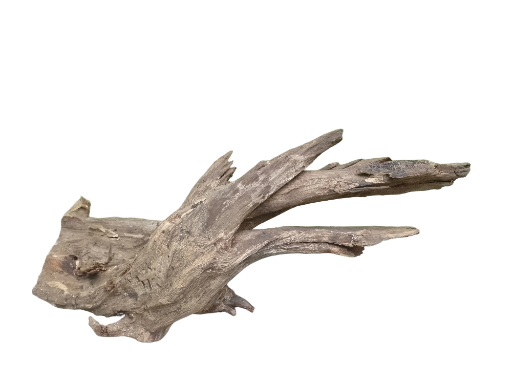 Rustic Root Driftwood Piece 50 Cm Long country wood 