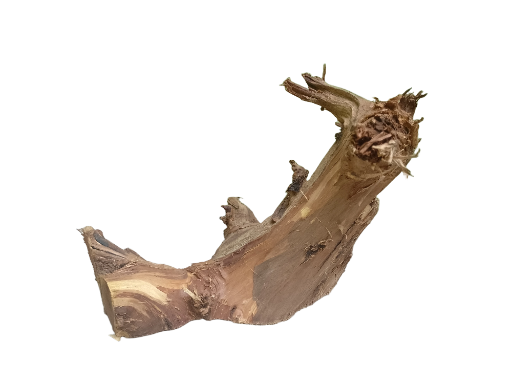 Natural Driftwood Piece 33 Cm Long -Country wood 