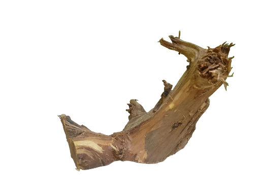 Natural Driftwood Piece 33 Cm Long -Country wood 