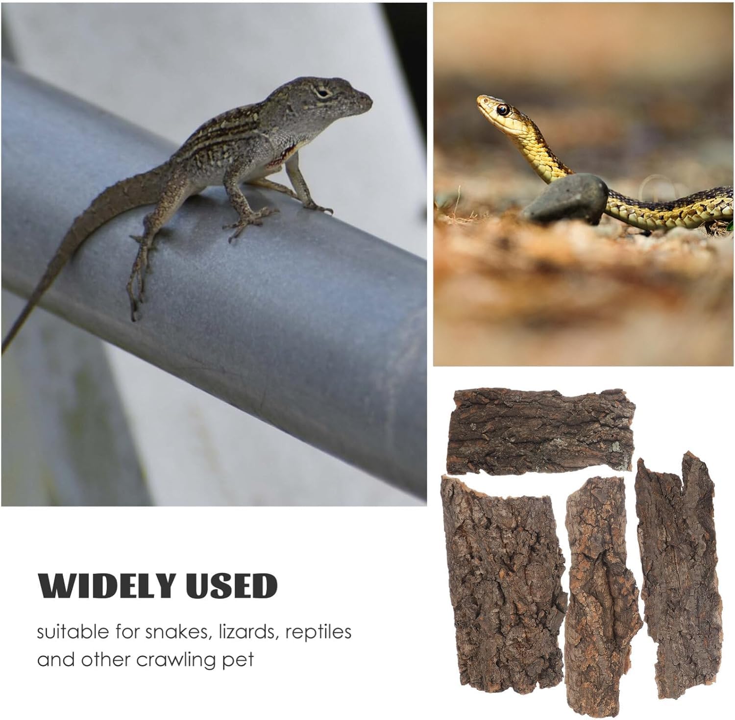 Reptile Bark Terrarium Decor, 4 Pieces, Teak Wood Flat Bedding for Bearded Dragon Lizard Geckos Tortoise, 8-14 cm