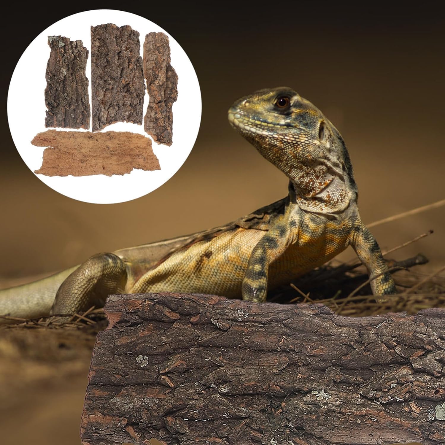 Reptile Bark Terrarium Decor, 4 Pieces, Teak Wood Flat Bedding for Bearded Dragon Lizard Geckos Tortoise, 8-14 cm