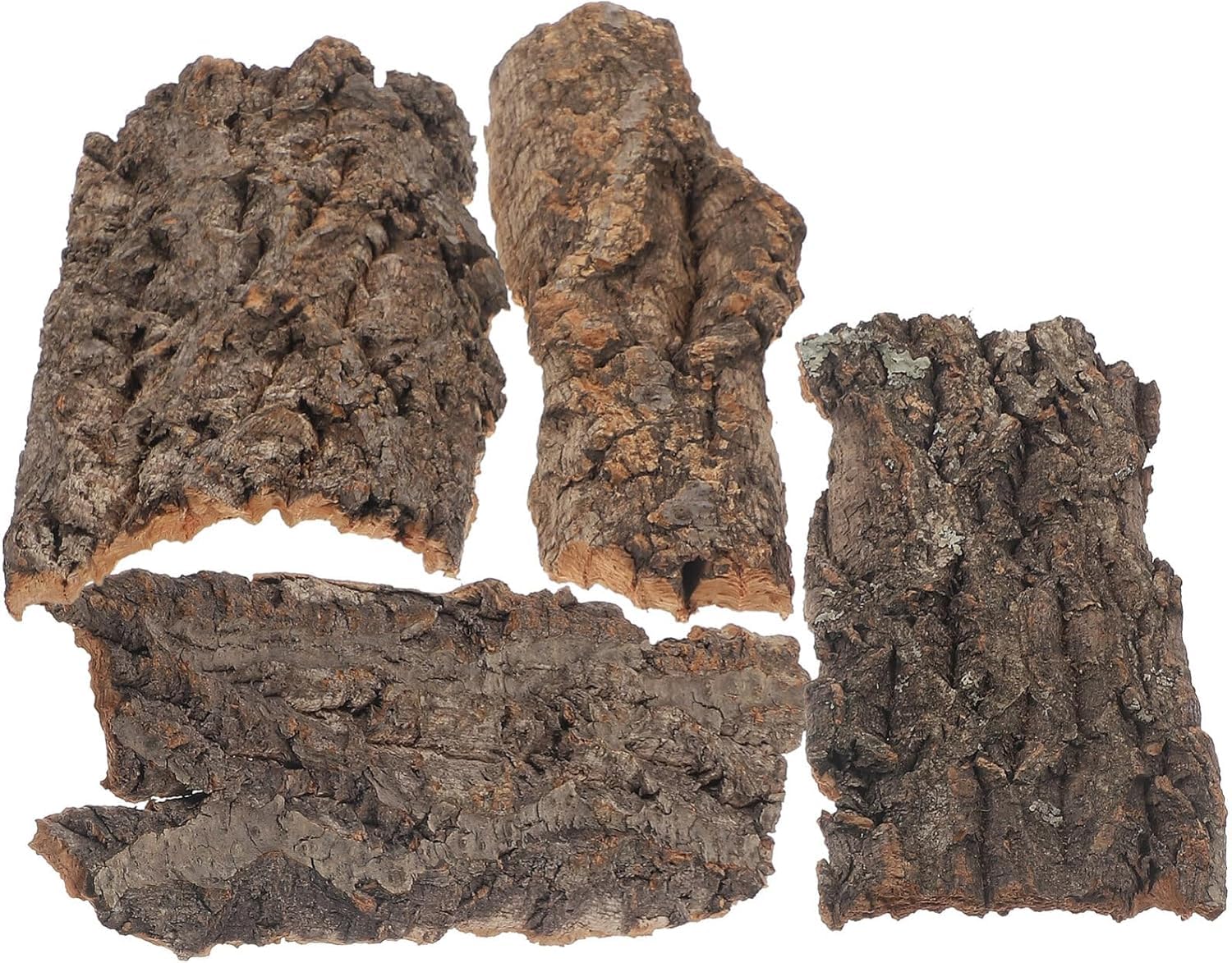 Reptile Bark Terrarium Decor, 4 Pieces, Teak Wood Flat Bedding for Bearded Dragon Lizard Geckos Tortoise, 8-14 cm