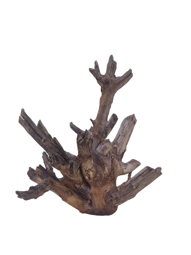 Teak Driftwood For Aquarium 50 CM Height 