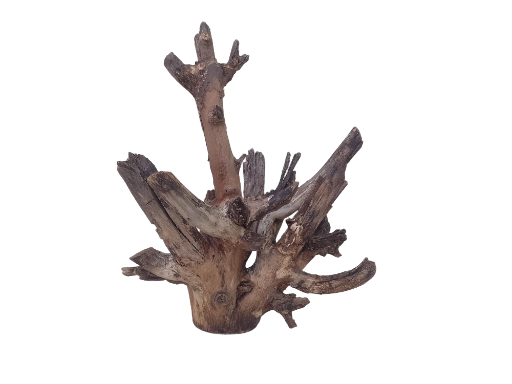Teak Driftwood For Aquarium 50 CM Height 